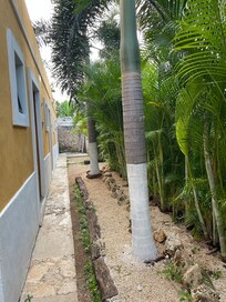 Inside the hotel area
