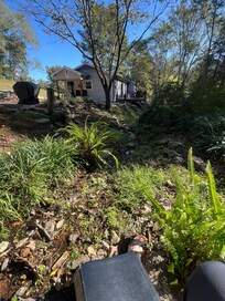 View of creek