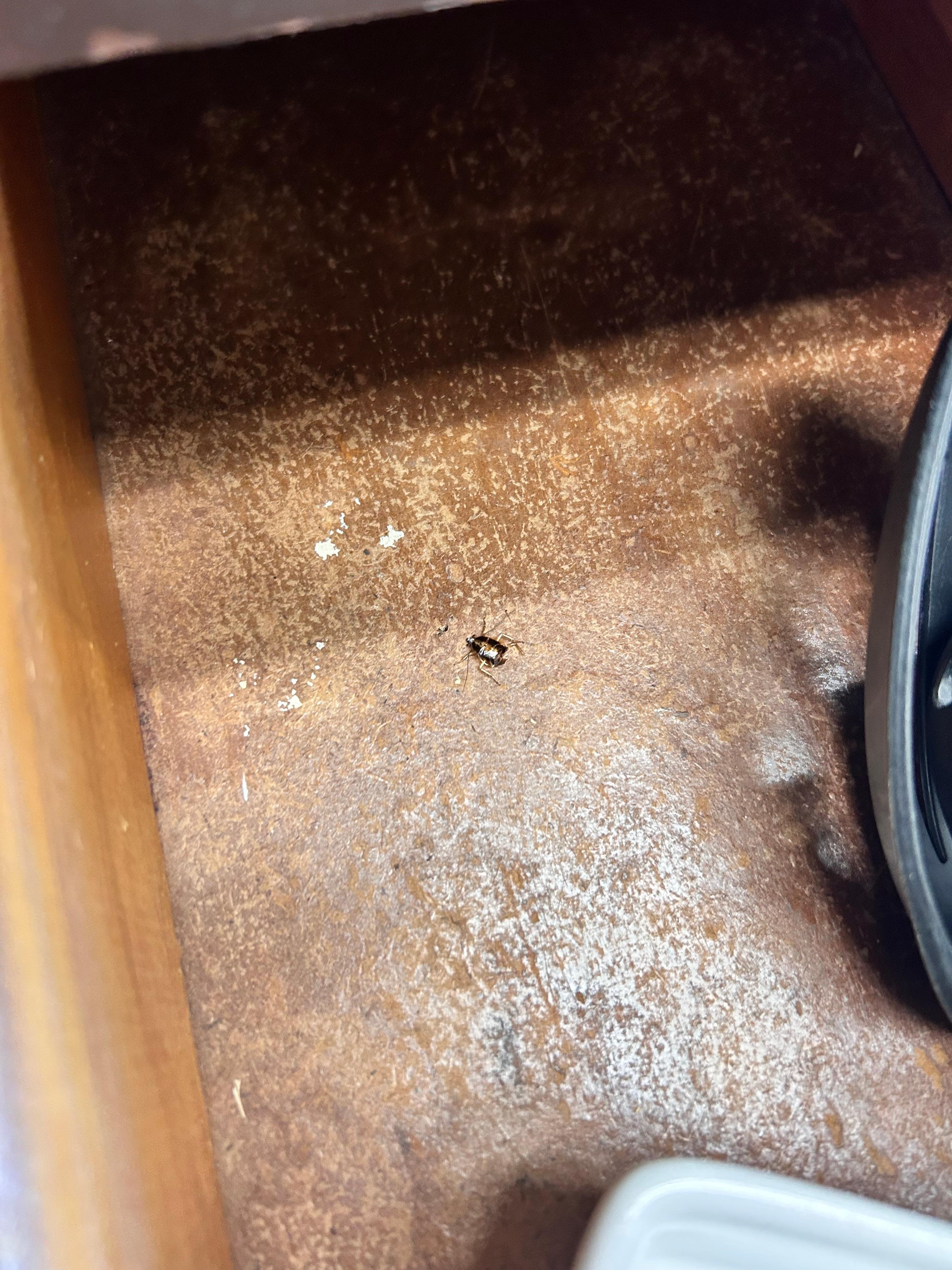 In the silverware drawer