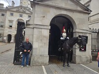 Horse Guard