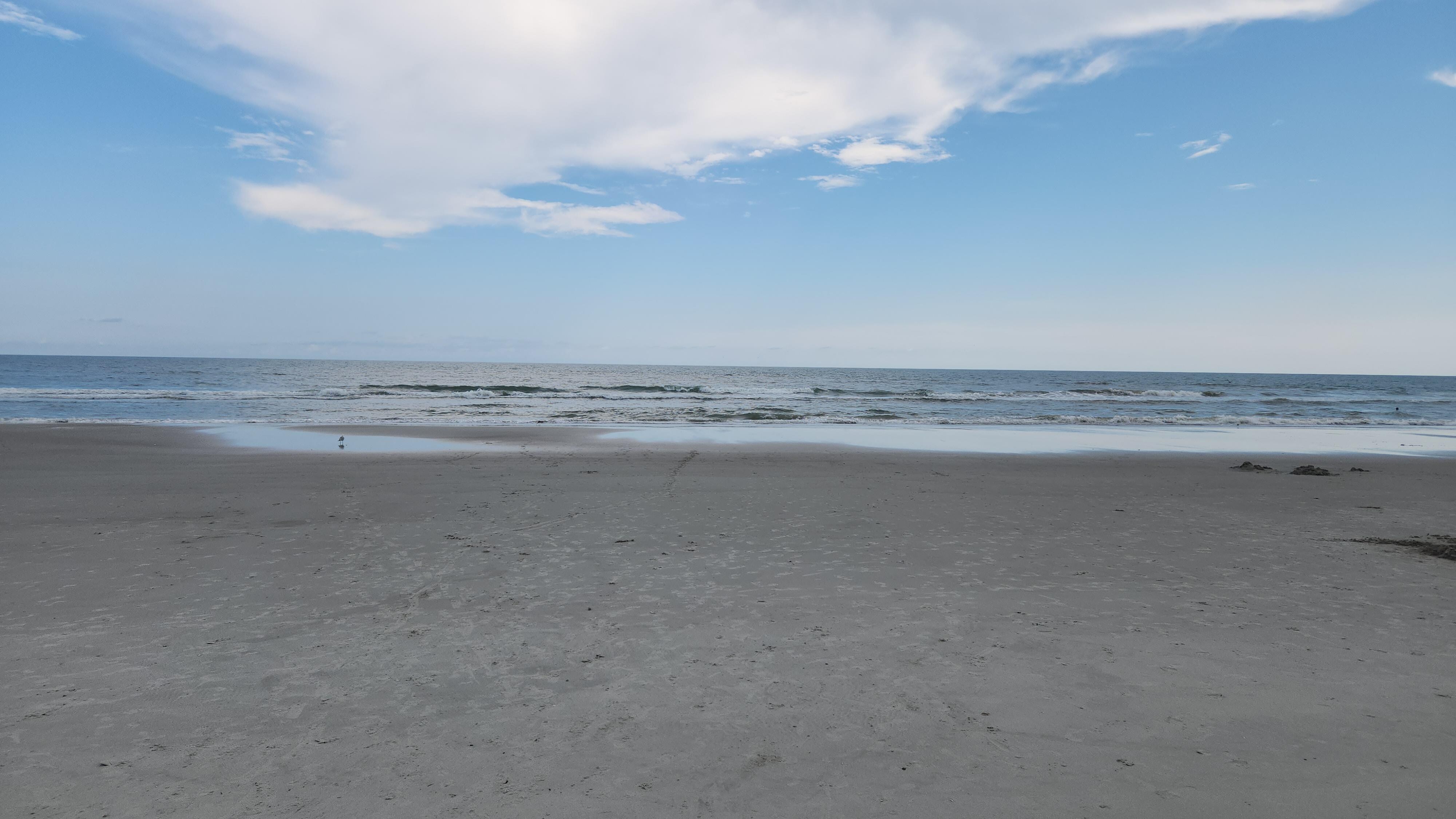 Hammock state park