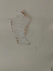 Peeling paint throughout property caused by untreated rising damp