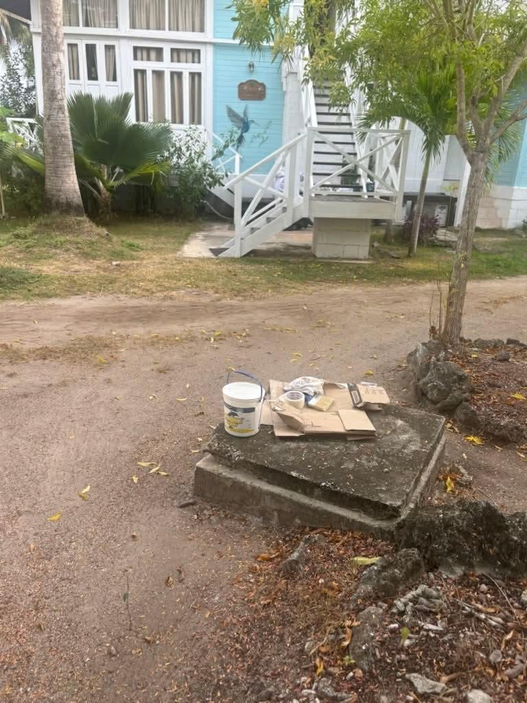 Les alentours pas entretenu