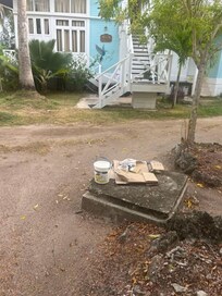 Les alentours pas entretenu