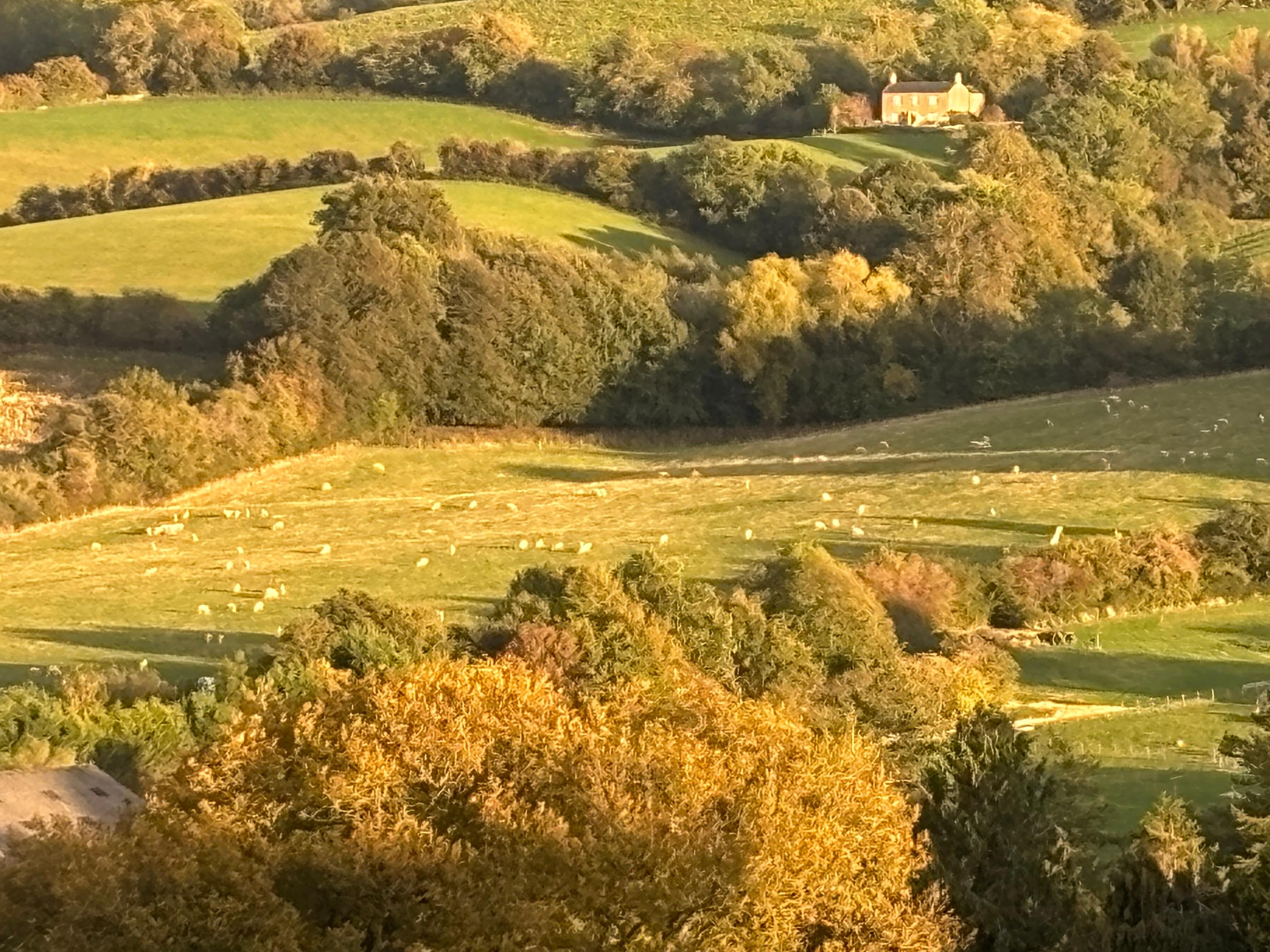 Constantly changing view