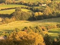 Constantly changing view