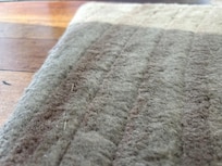 Animal hair carpet