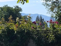 Beautiful property