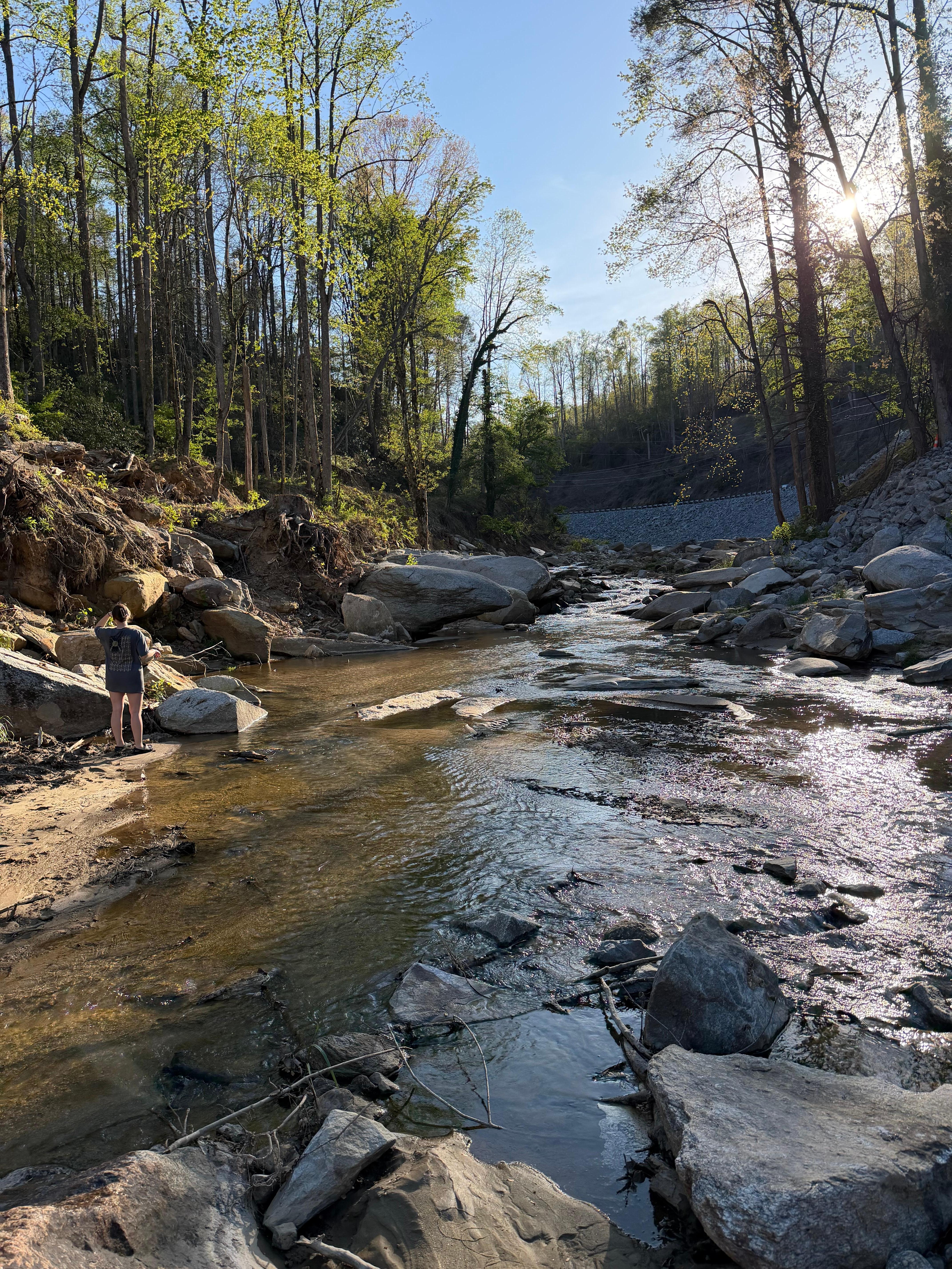 The creek next to the cabin