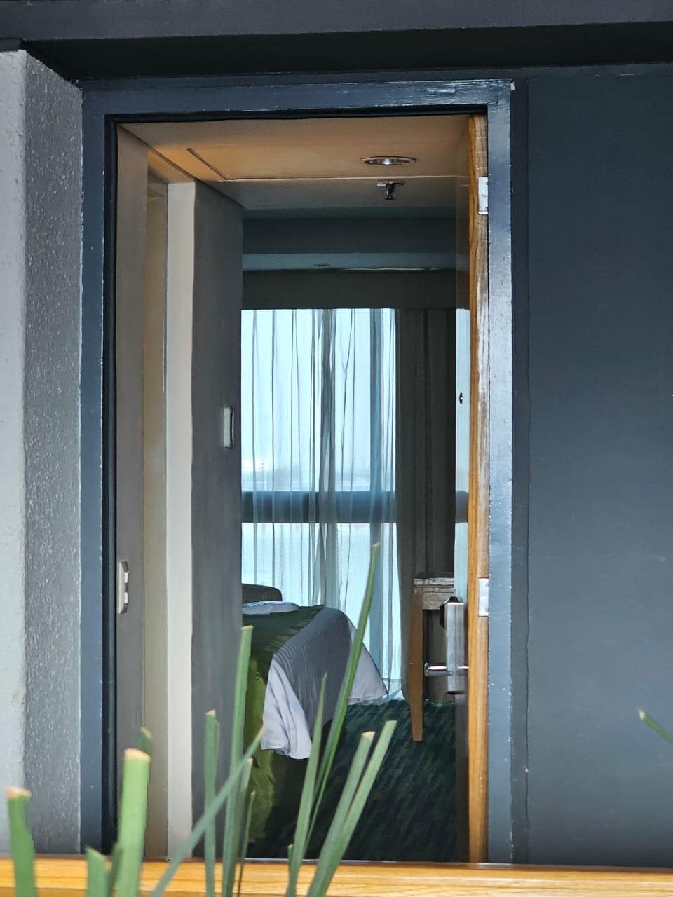 Habitación limpia y disponible 