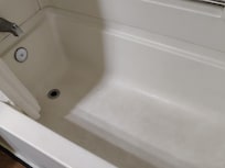 This tub needed some serious bleach