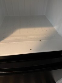 Mold in freezer