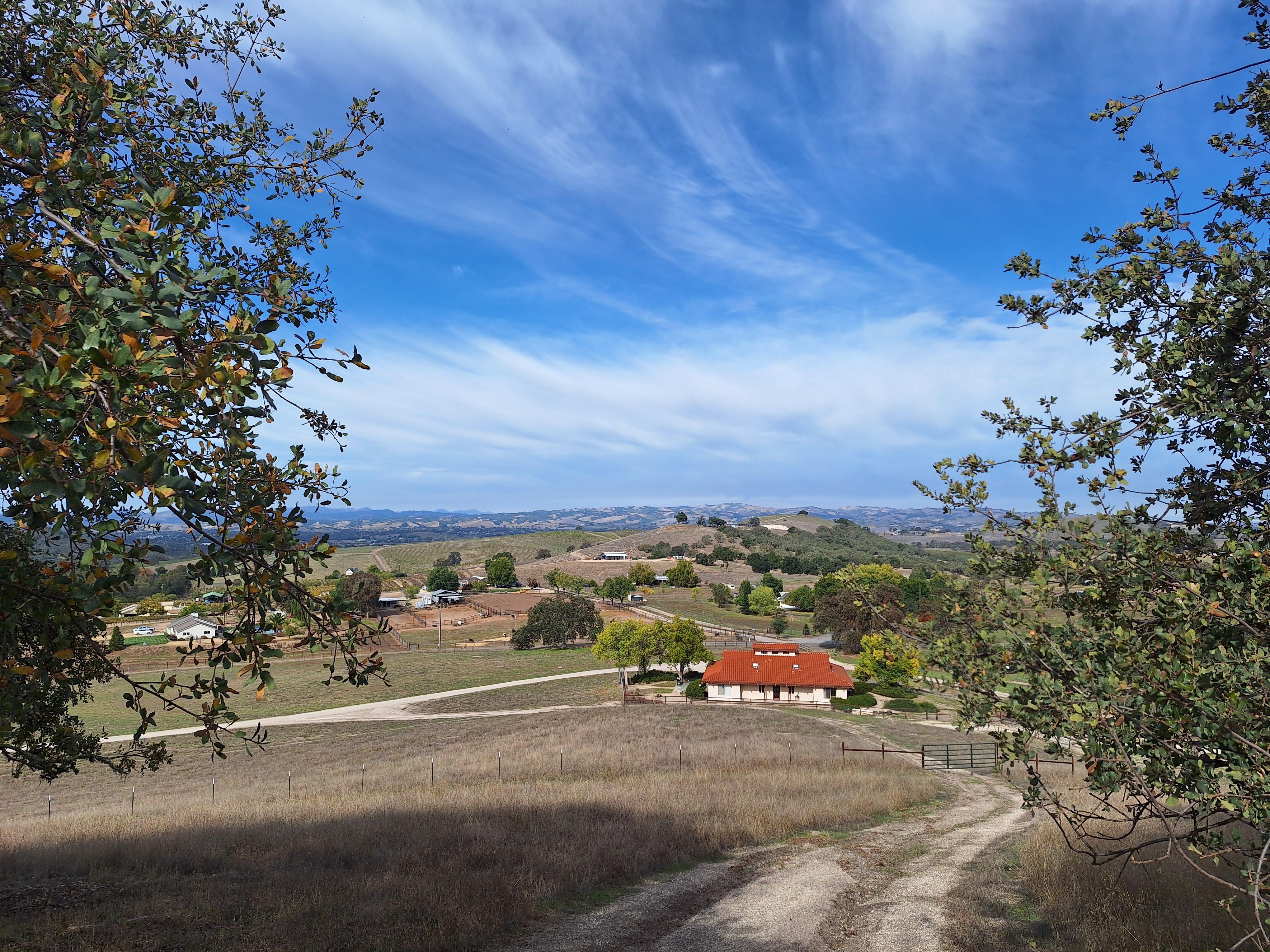 View of house from one hiking trail on property. 