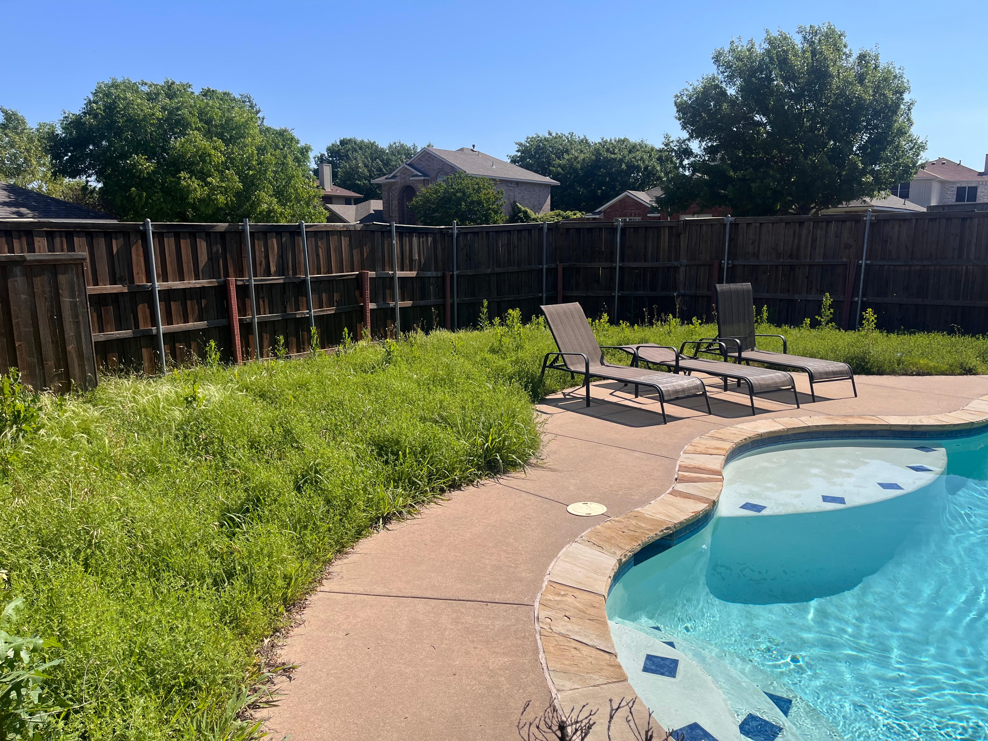 Backyard weeds