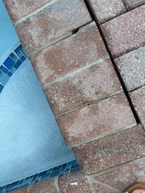 All blocks Arround the pool are loose.