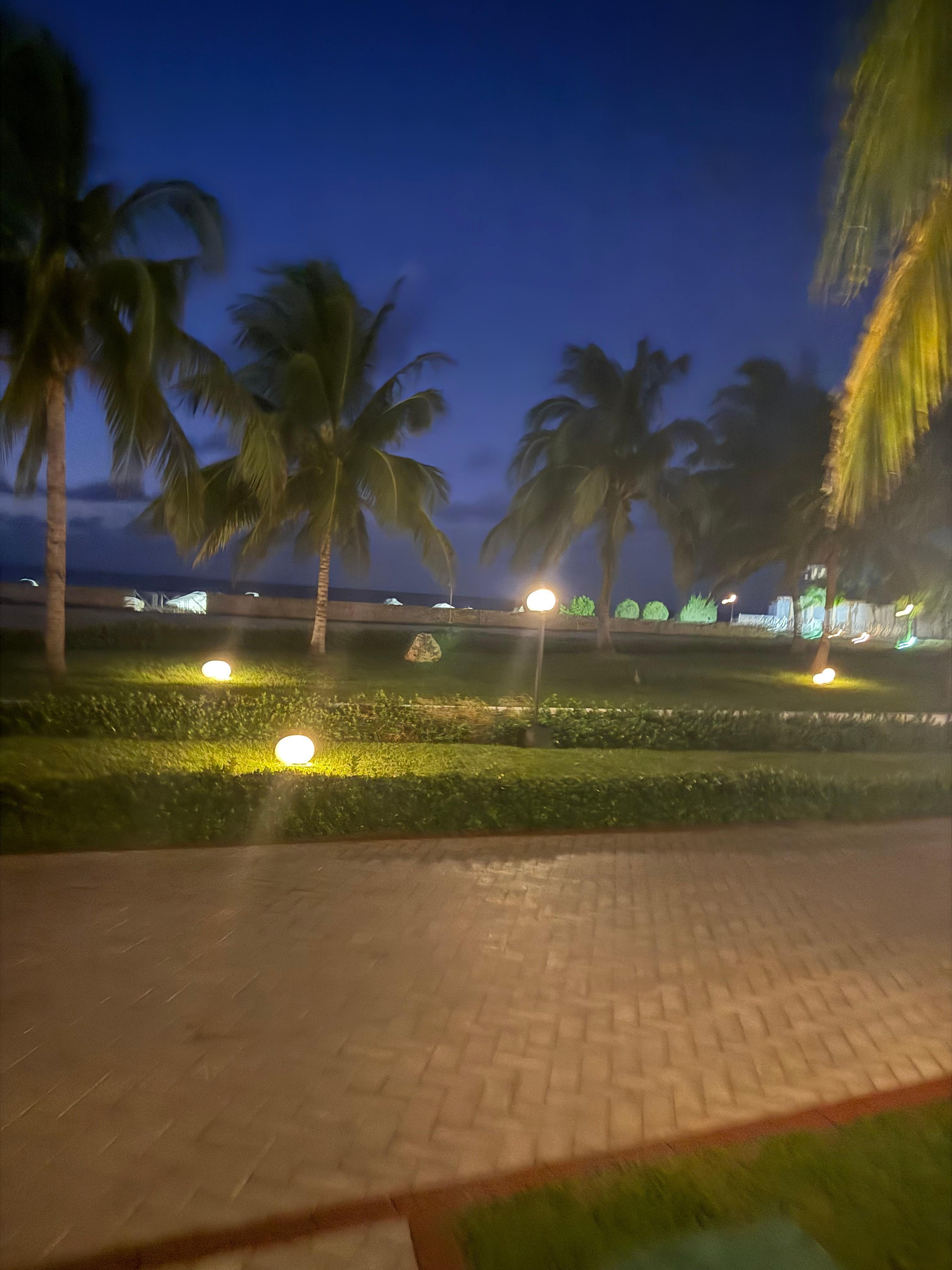 Night view 