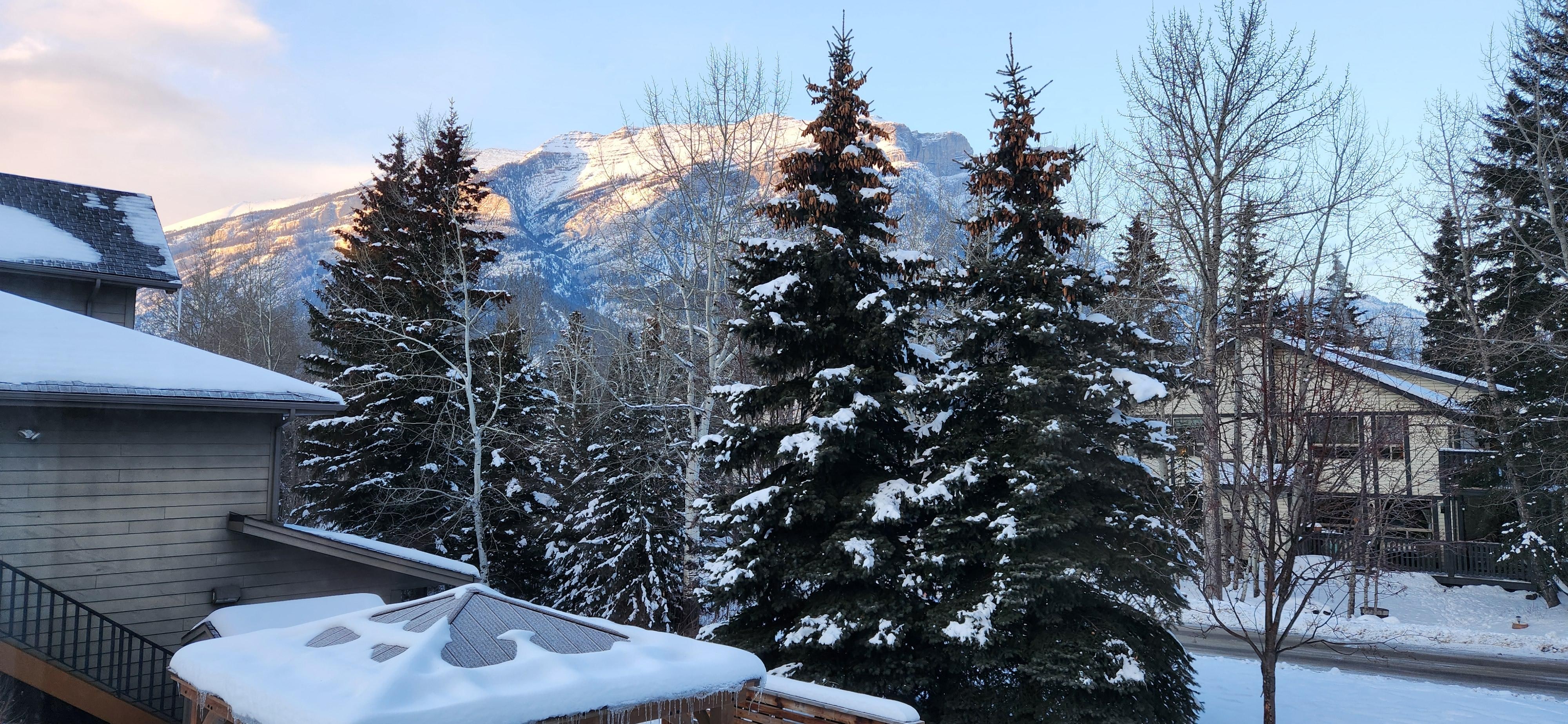 The view from the Living Room Window