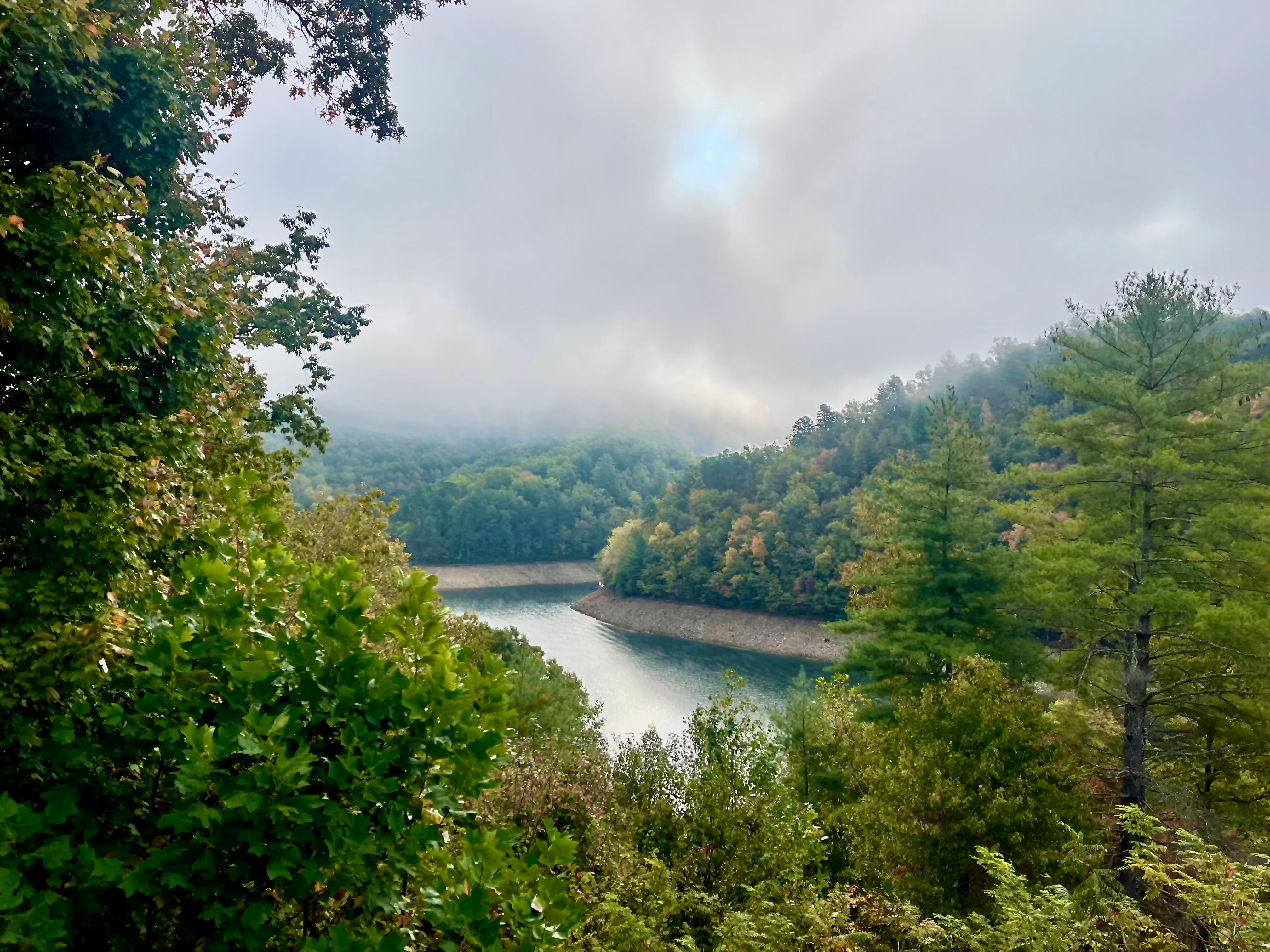 Morning view from deck.
