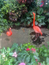 Visit the butterfly conservatory