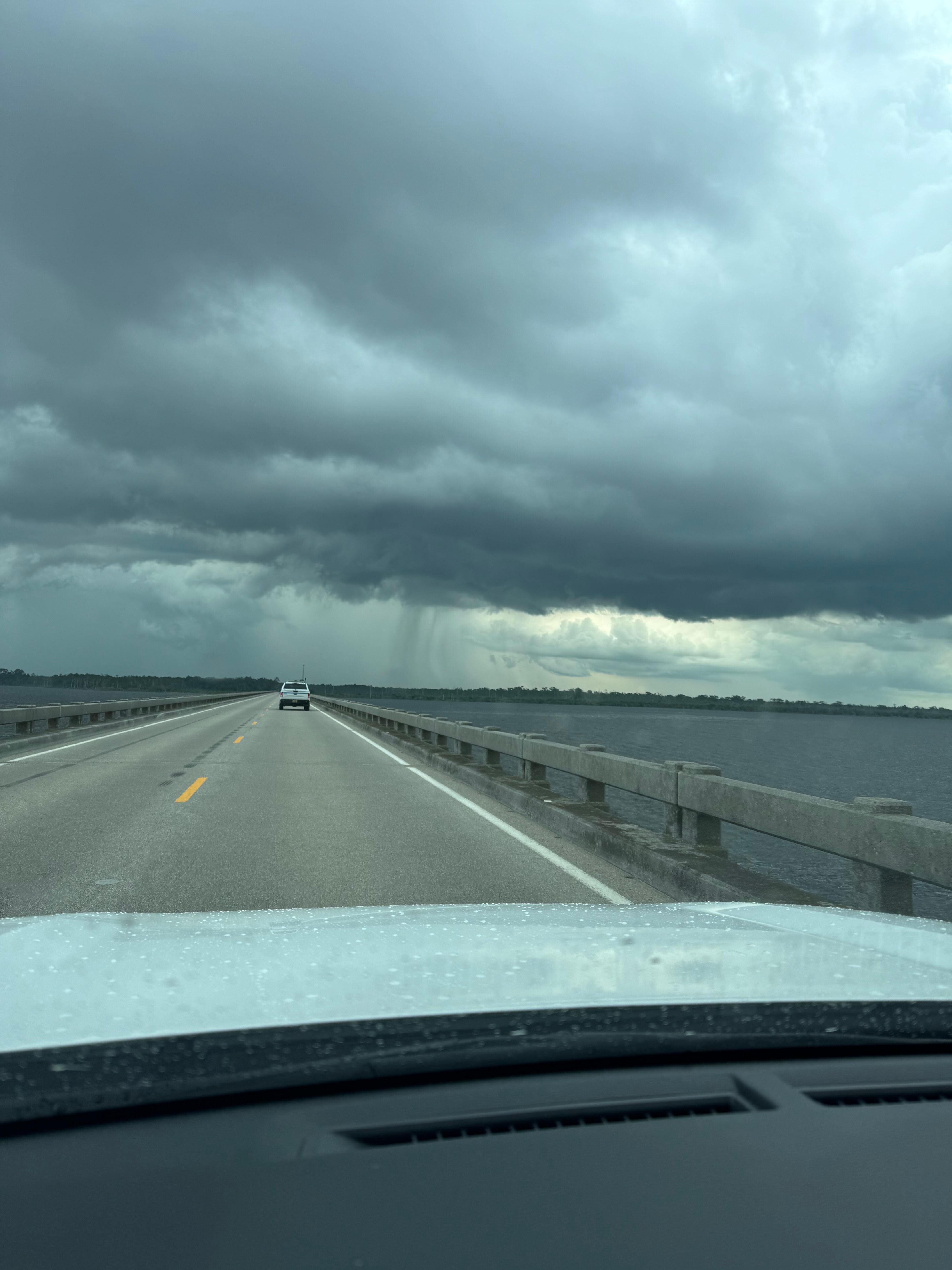 Loving the bridge 