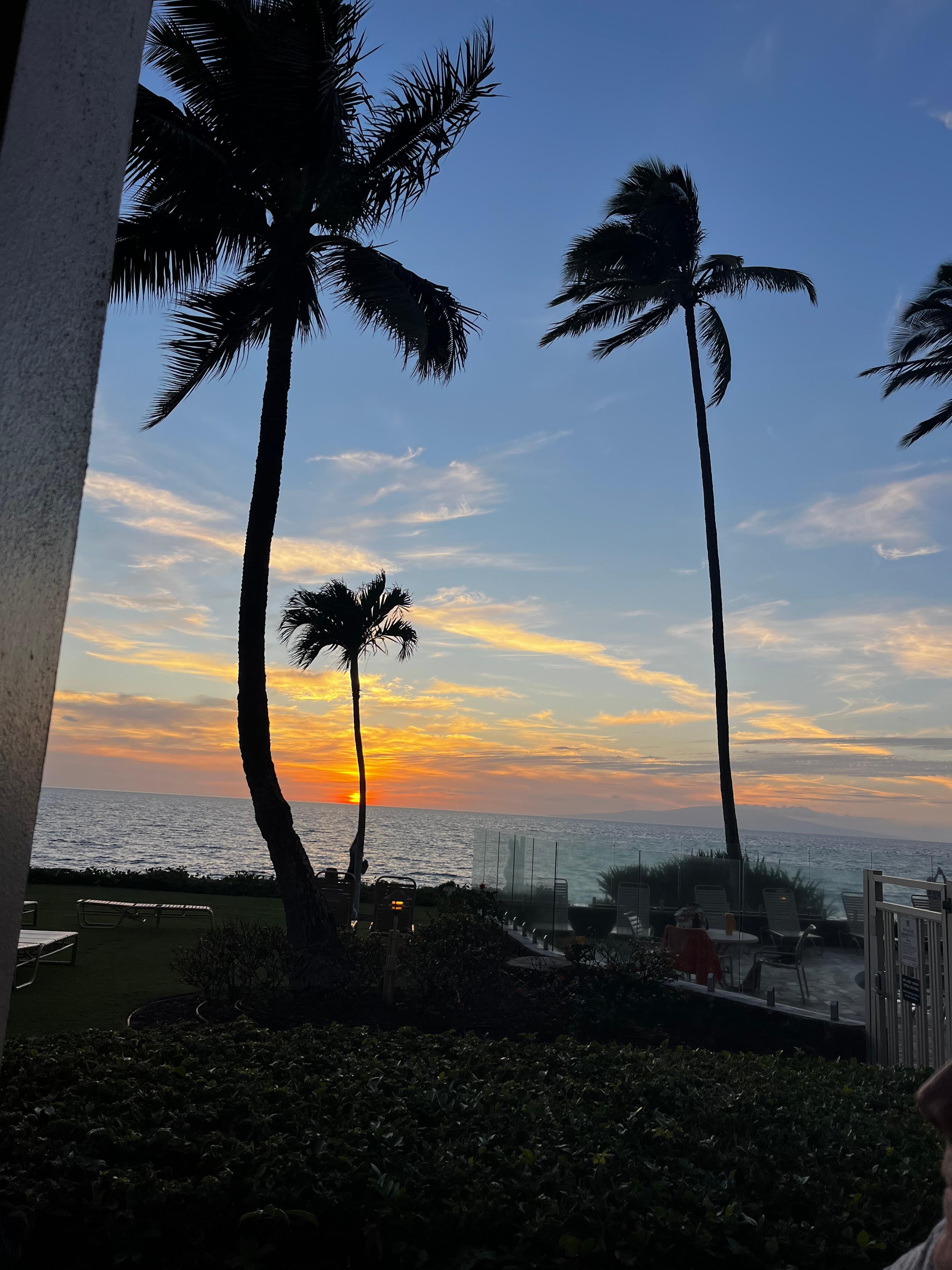 Beautiful sunsets and whale watching from the lanai.