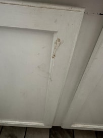 What we suspect is poop smeared on vanity in master bath