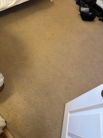 Carpet