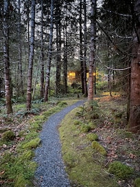Cabin is well surrounded by woods