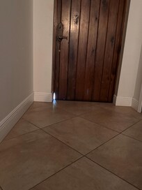 Gap in front door where the lizard came through