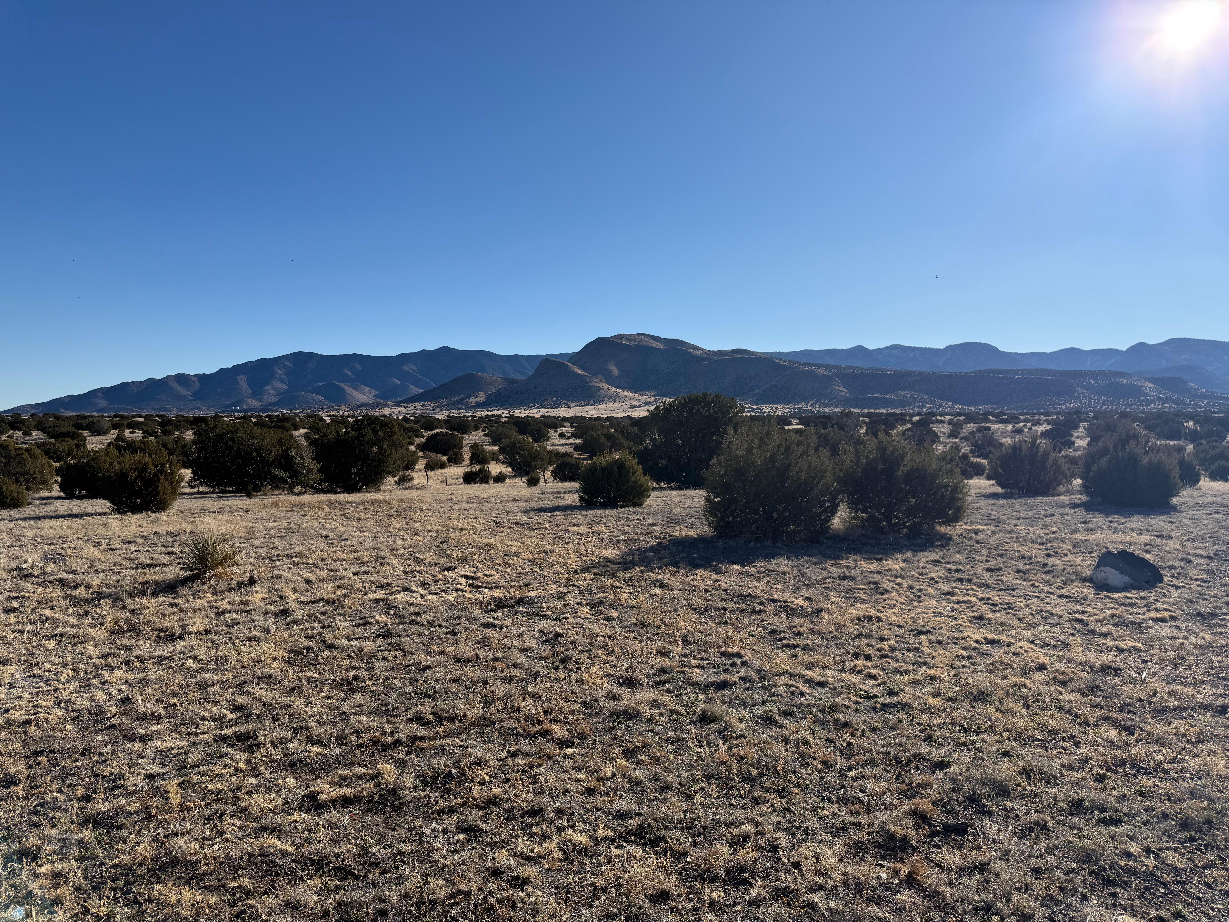 Morning view outside the back entrance