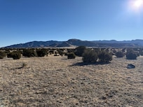 Morning view outside the back entrance