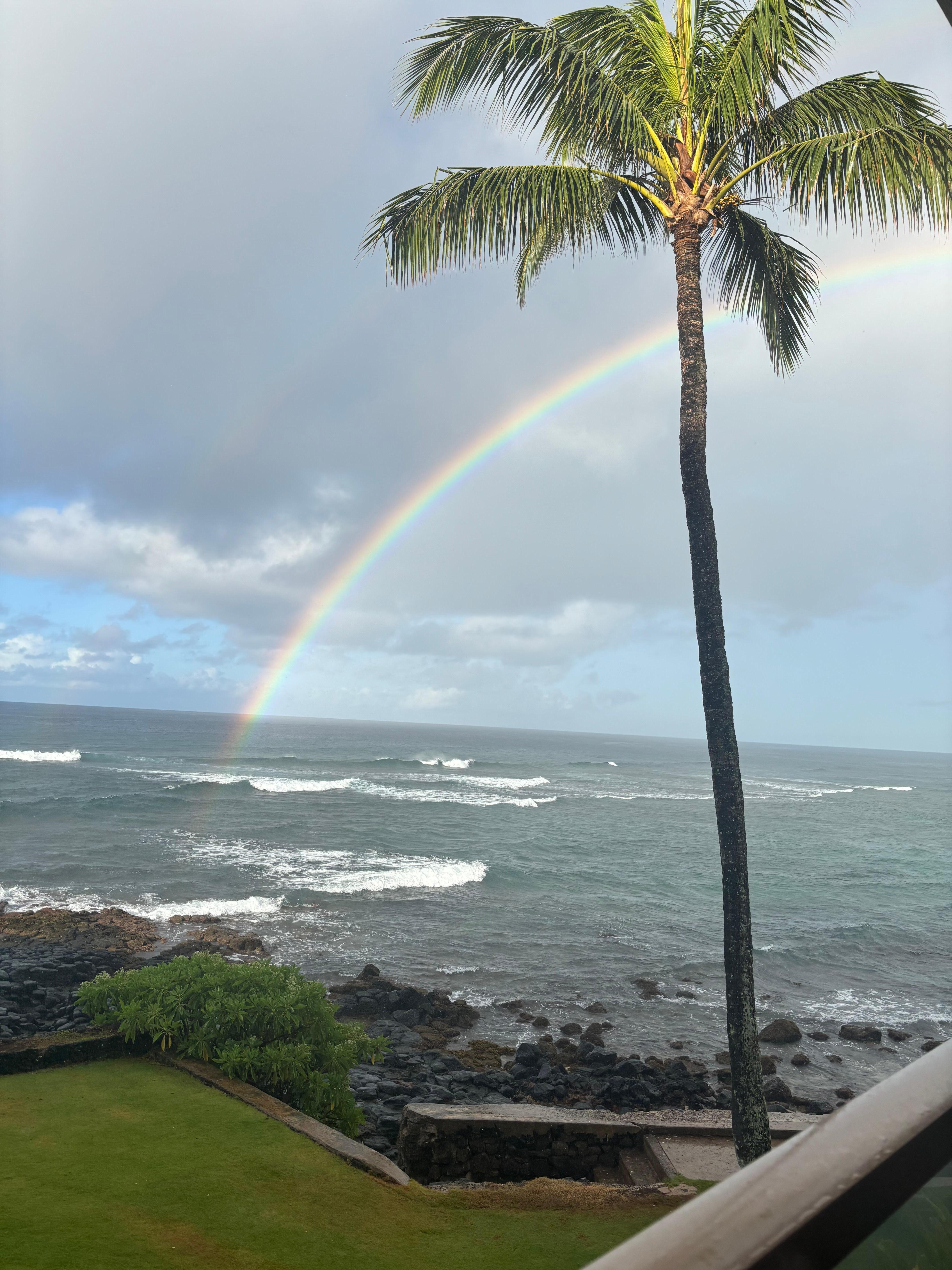 Morning view from balcony. 