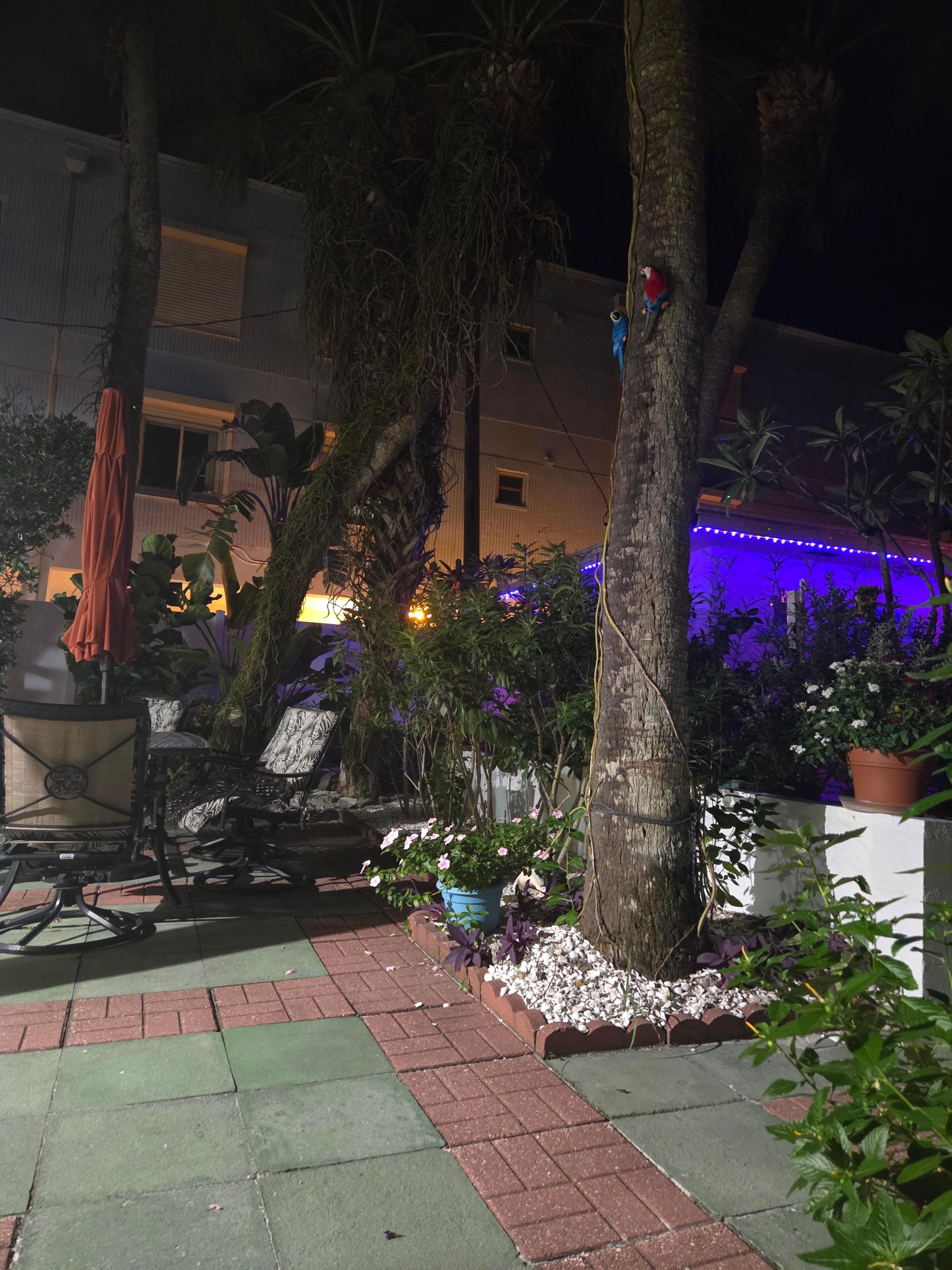 Common area with twinkly lights at night