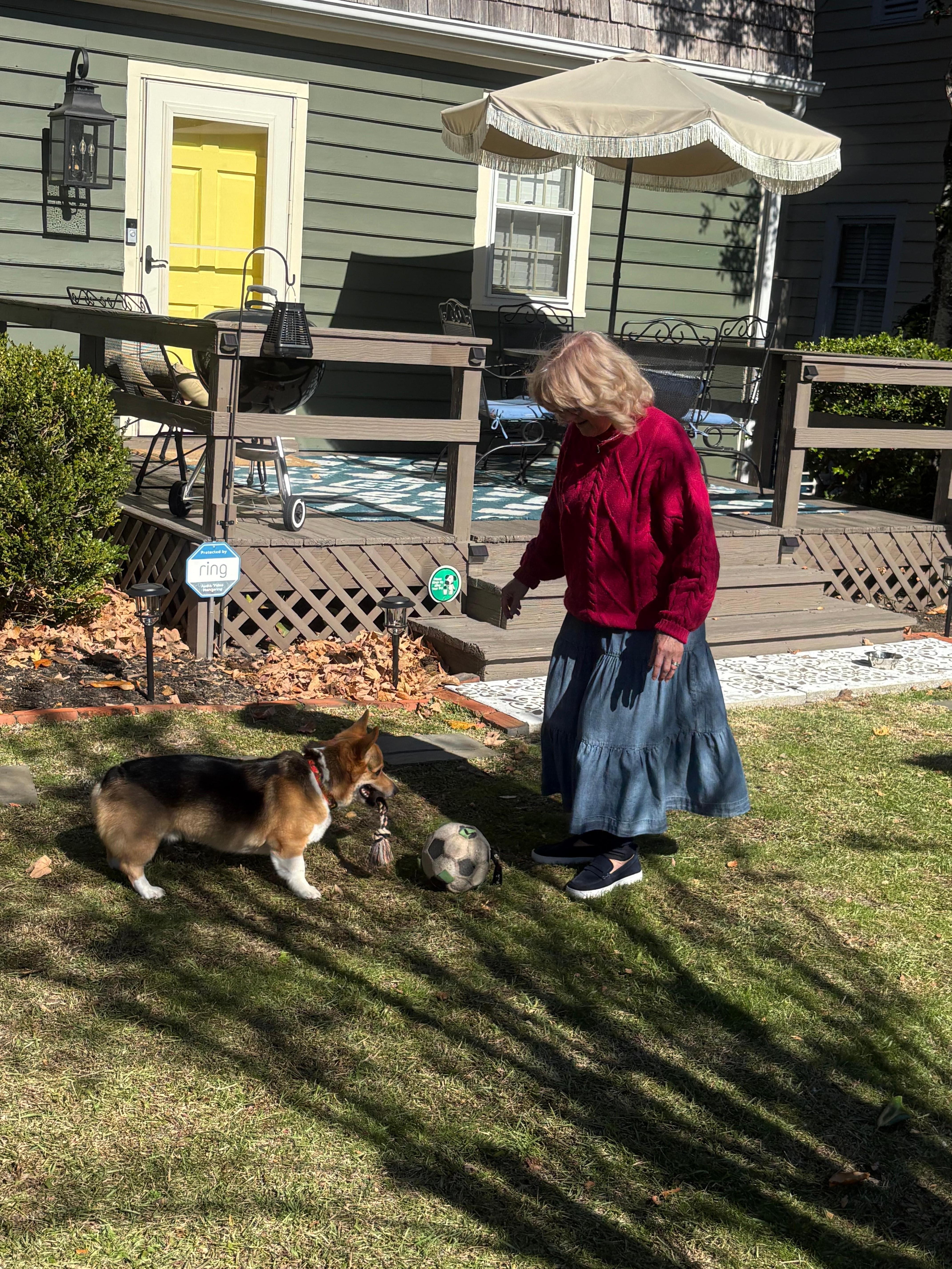 Such a beautiful outdoor space, fenced in with a great area for your fur babies.