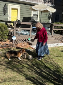 Such a beautiful outdoor space, fenced in with a great area for your fur babies.