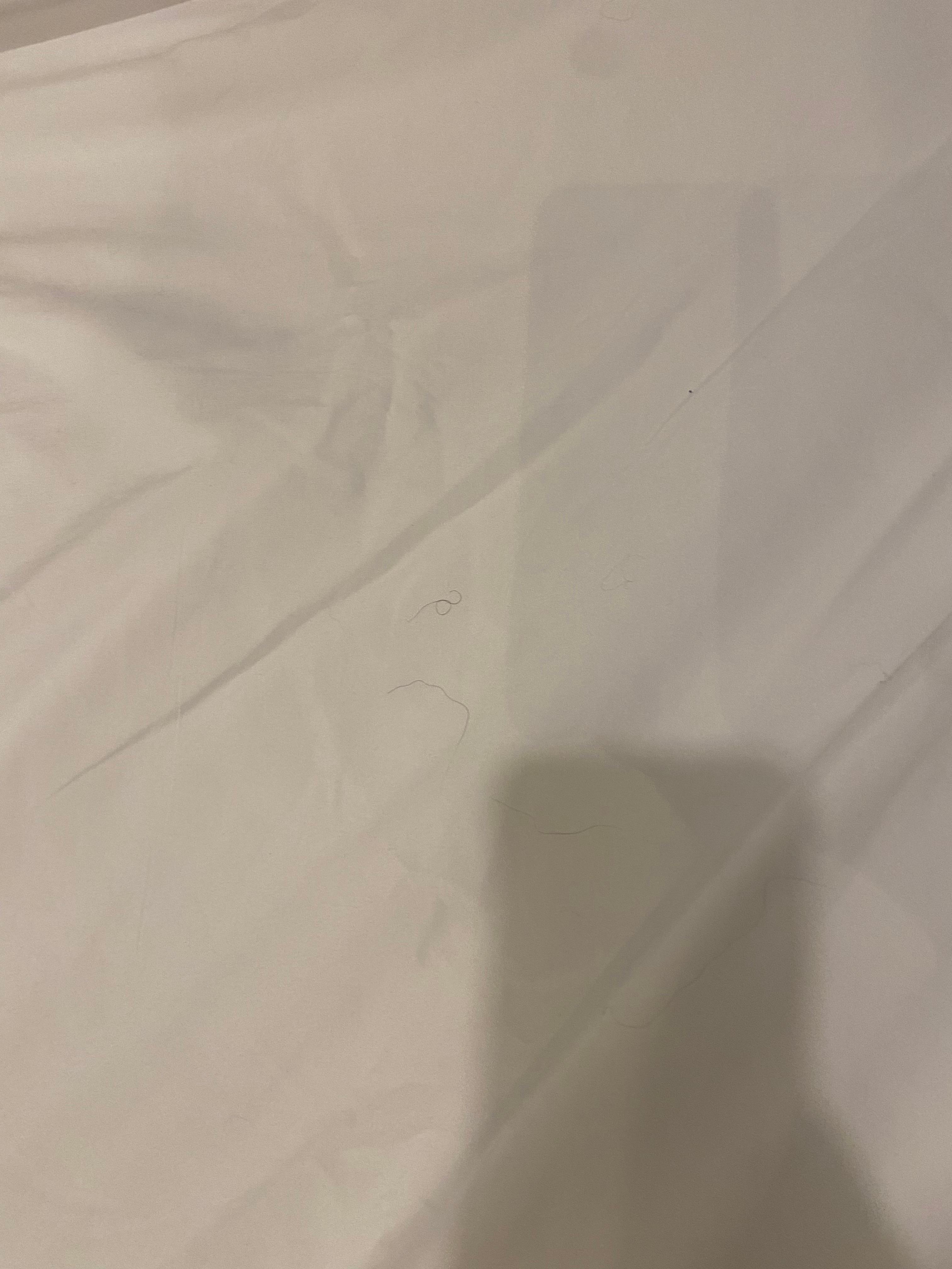Hair on the bedding 