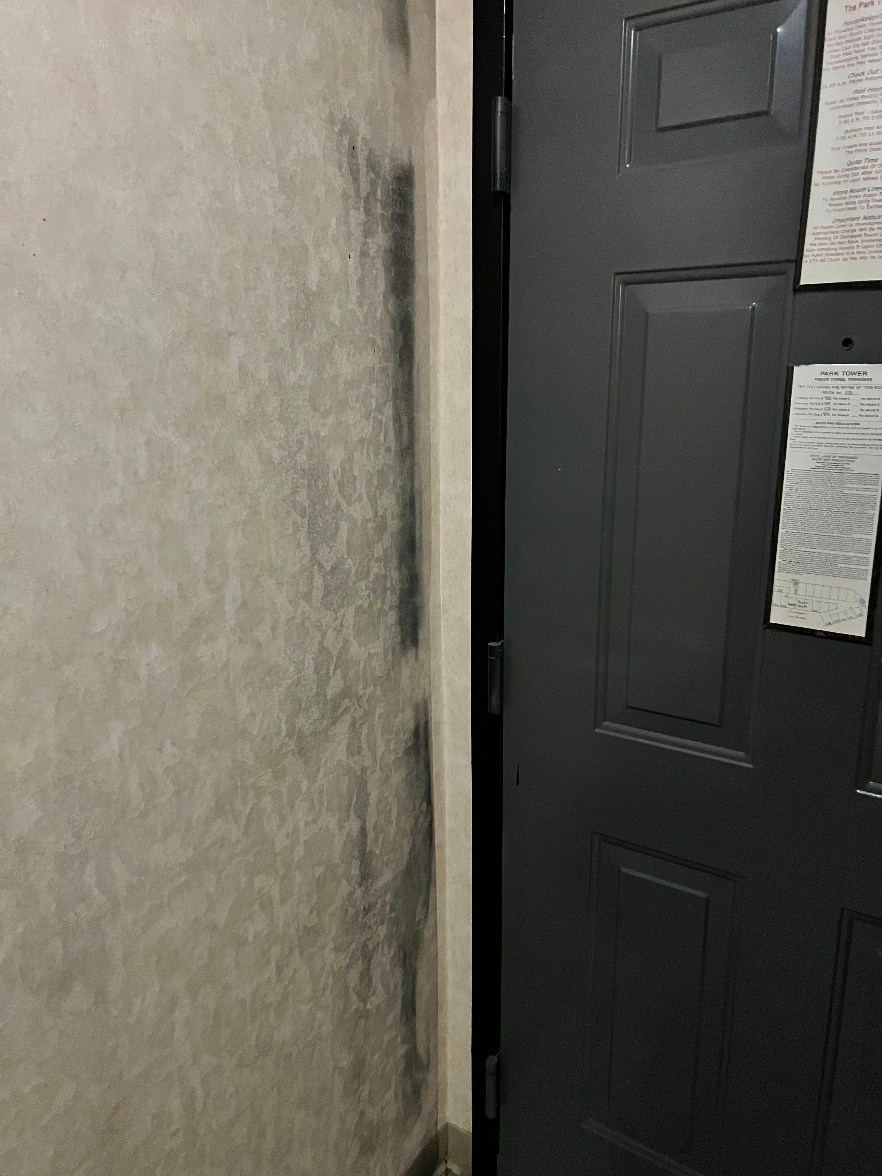 Mold on wall. I forgot to get picture of bathroom ceilings it was leaking from up stairs  