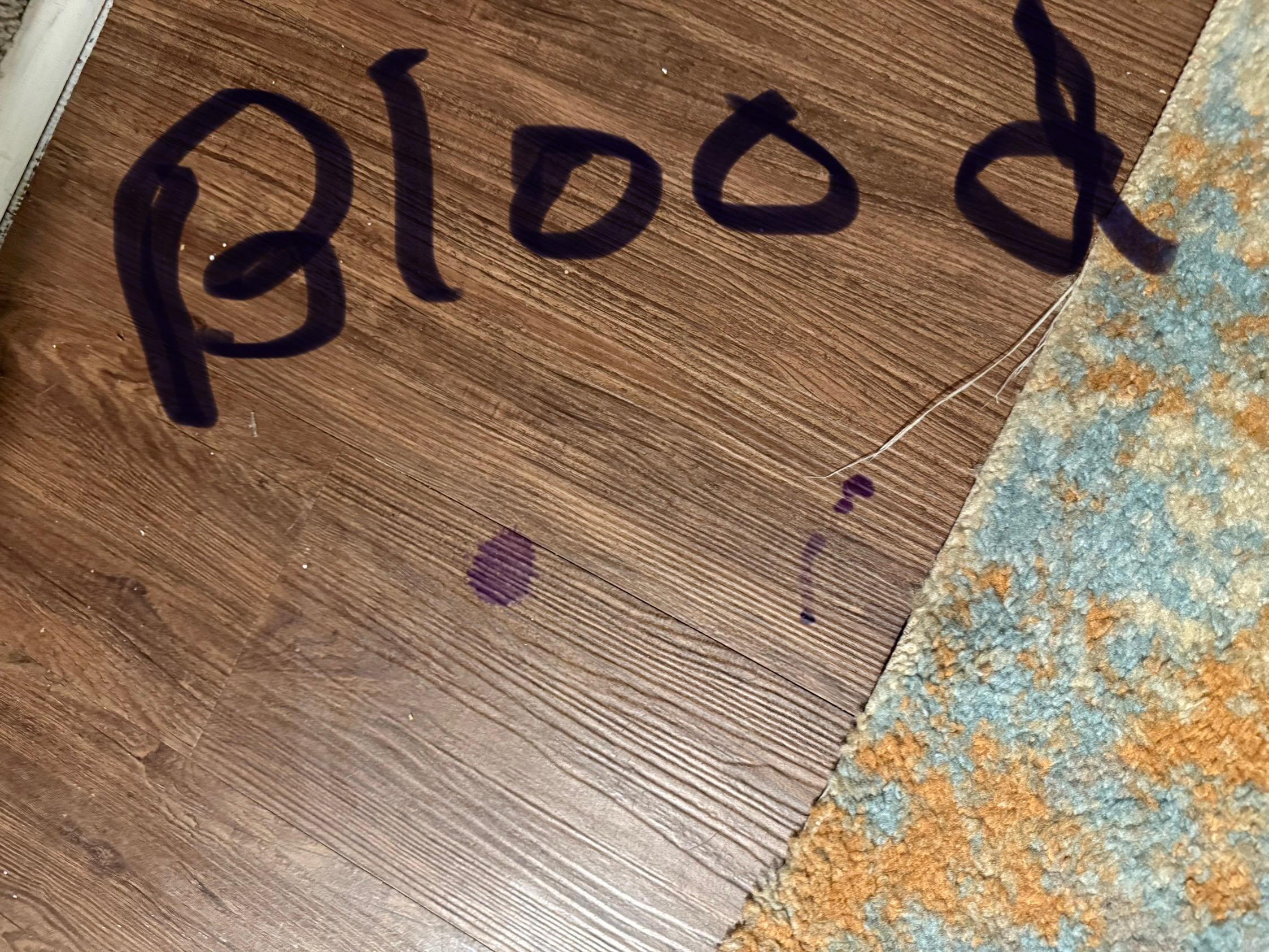 Spots of blood in the downstairs hallway