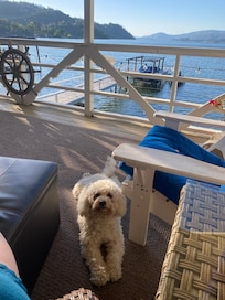 Deck views