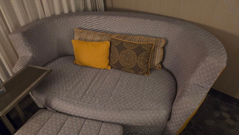 "Sofa Sleeper". Not for humans.