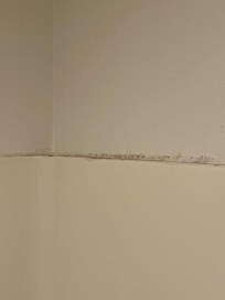 Moldy shower