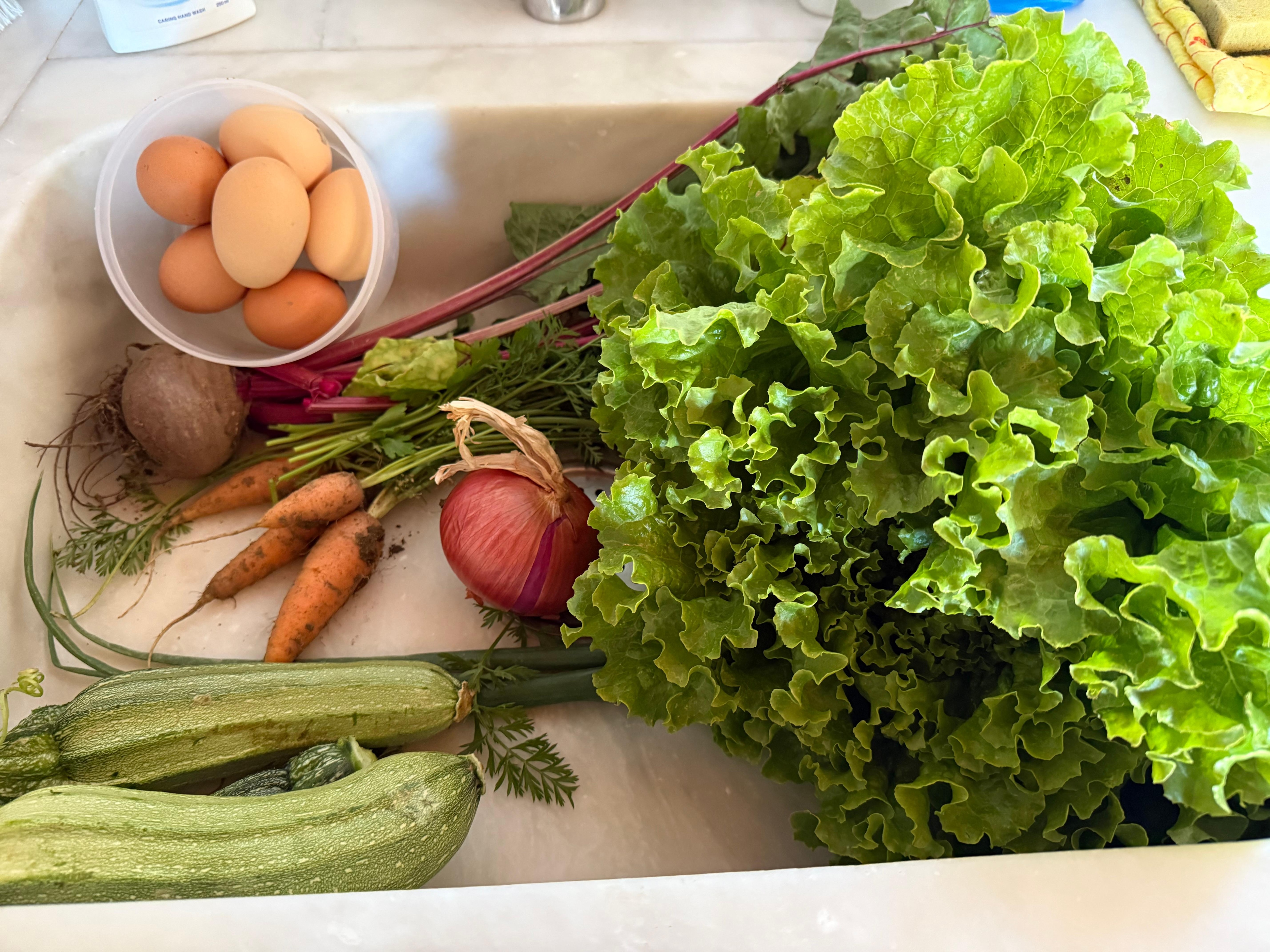 Fresh veggies out of the garden and fresh eggs out of their chickens
