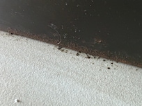 mold around bedframe.
