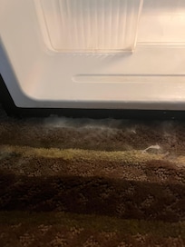 Mold growing from the floor.