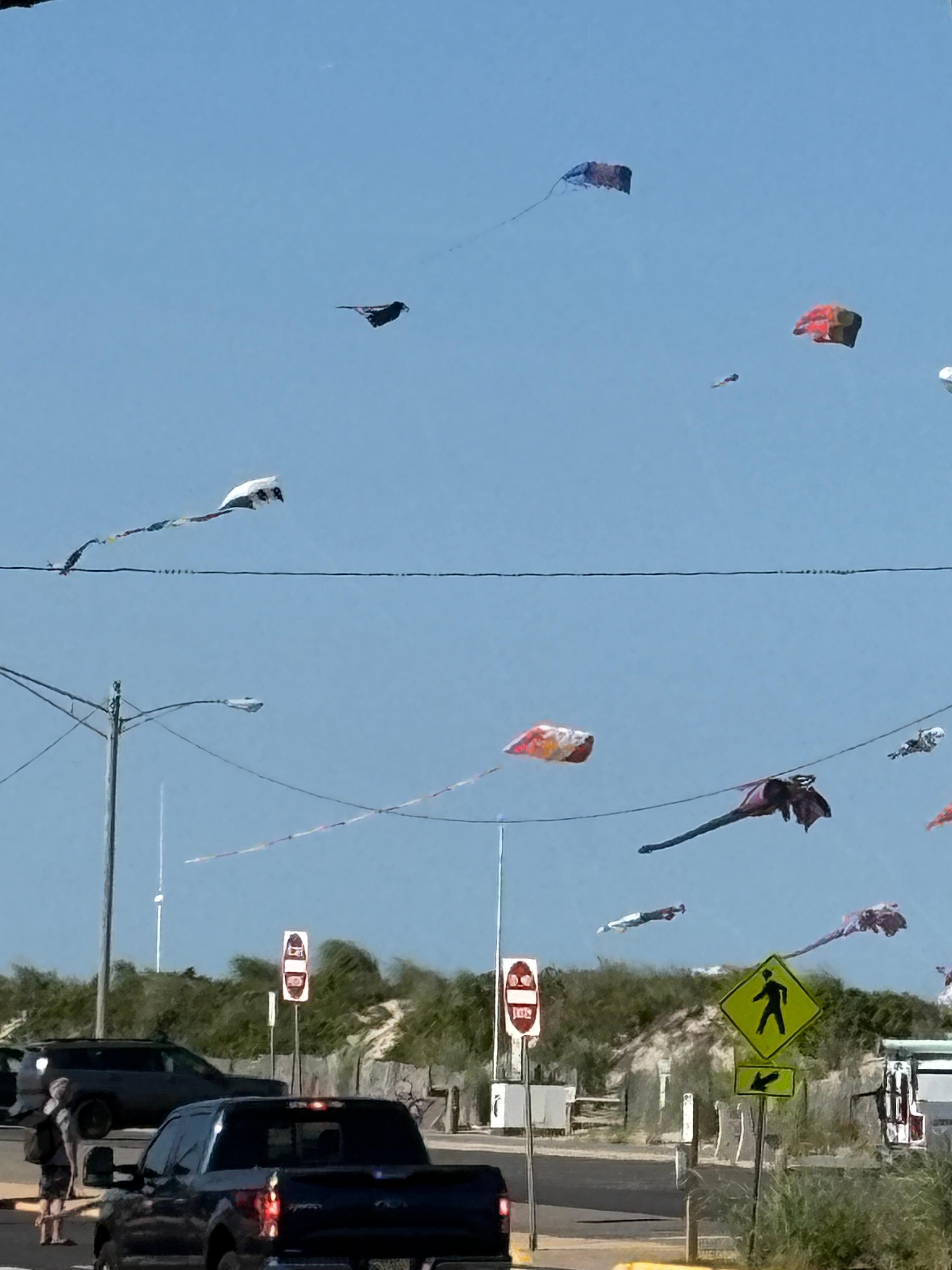 Kite competition 