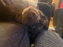 If the dog is happy, so are the humans! ❤️