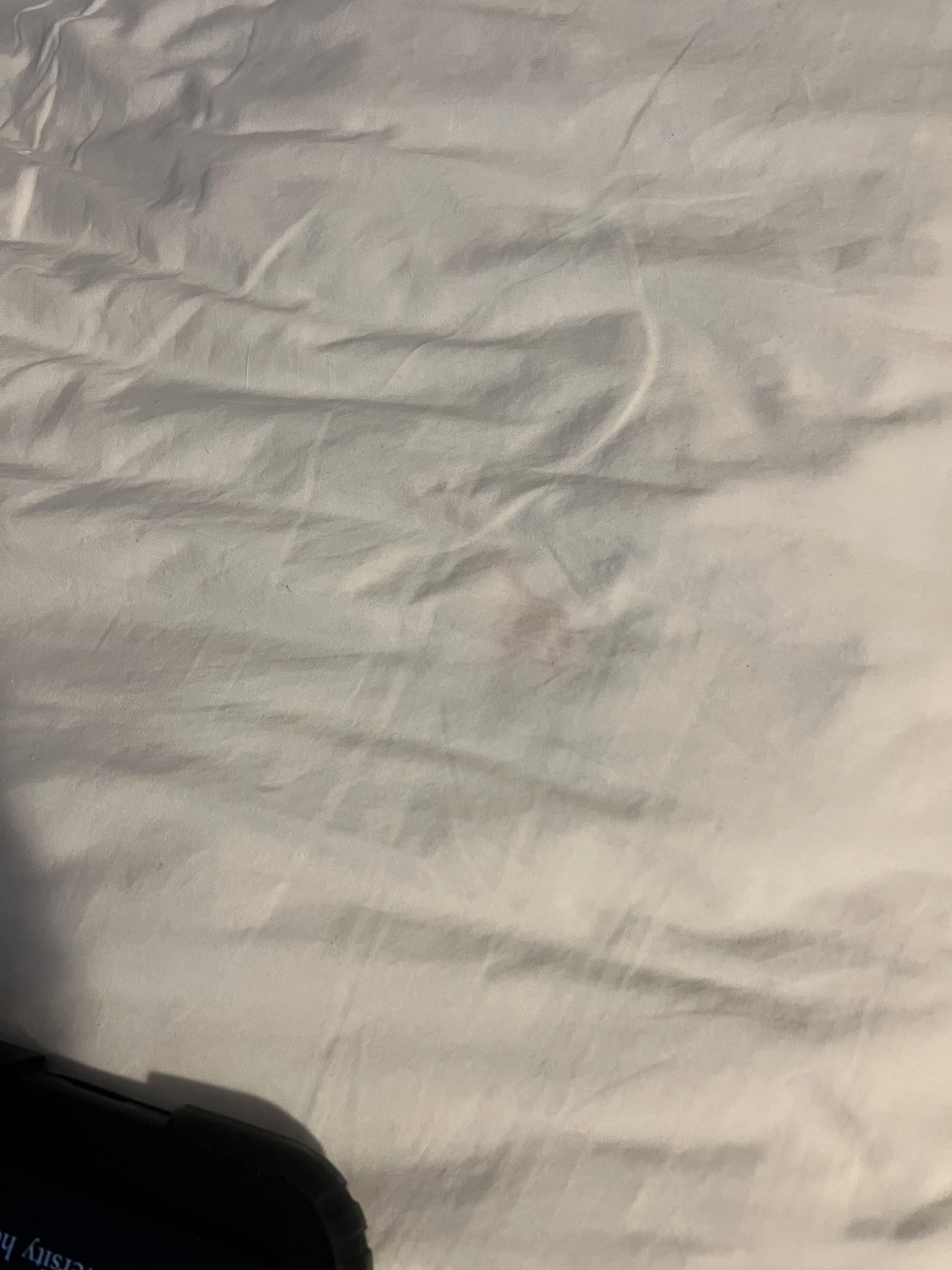 stain on sheet