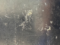 Fridge door