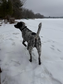 Frozen Lake and Ozzy