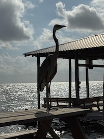 He hung out with us everyday